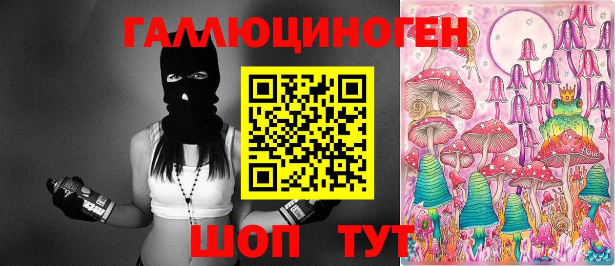 Владимир  Псилоцибиновые грибы мицелий  Вход с VPN 