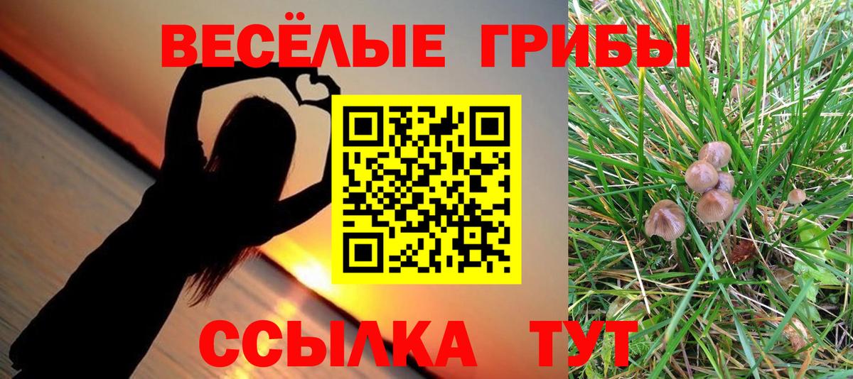 Галлюциногенные грибы Magic Shrooms Владимир